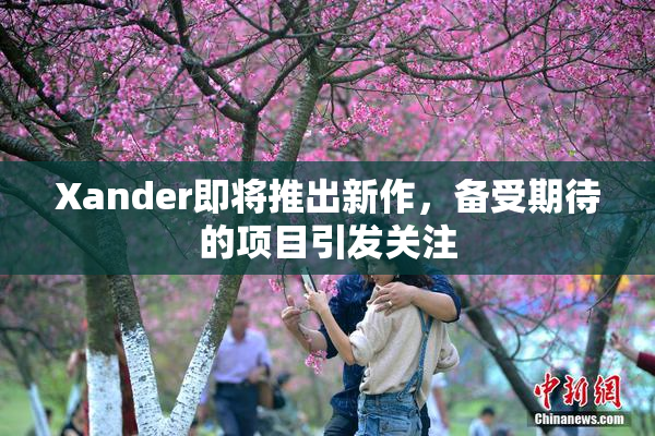 Xander即将推出新作，备受期待的项目引发关注