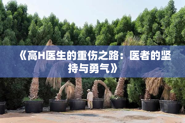 《高H医生的重伤之路：医者的坚持与勇气》