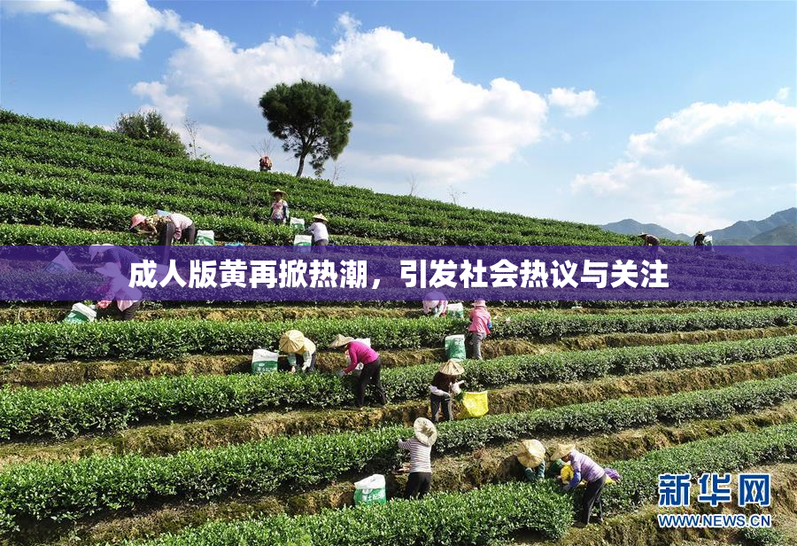 成人版黄再掀热潮，引发社会热议与关注