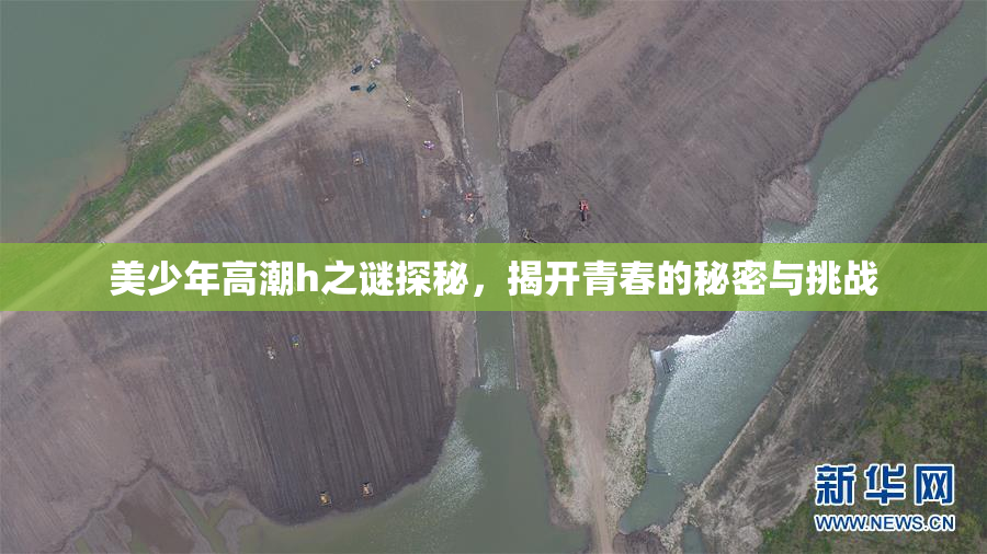 美少年高潮h之谜探秘，揭开青春的秘密与挑战