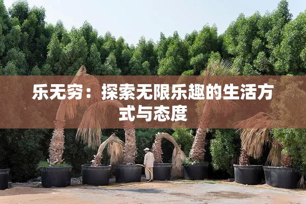乐无穷：探索无限乐趣的生活方式与态度