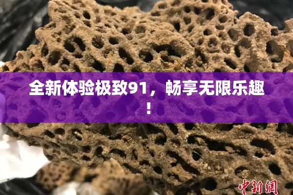全新体验极致91，畅享无限乐趣！