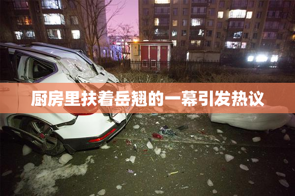 厨房里扶着岳翘的一幕引发热议