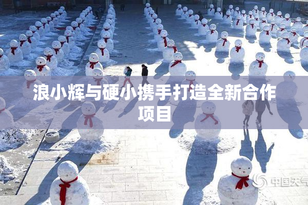 浪小辉与硬小携手打造全新合作项目