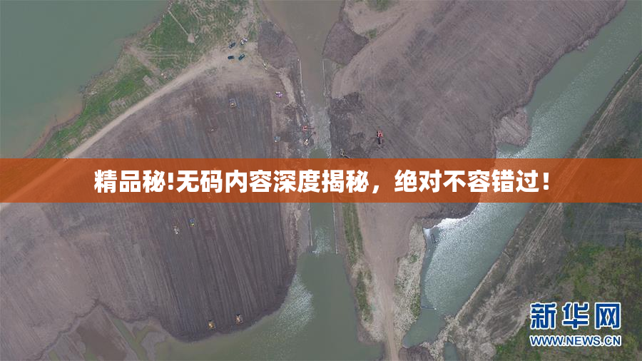 精品秘!无码内容深度揭秘，绝对不容错过！
