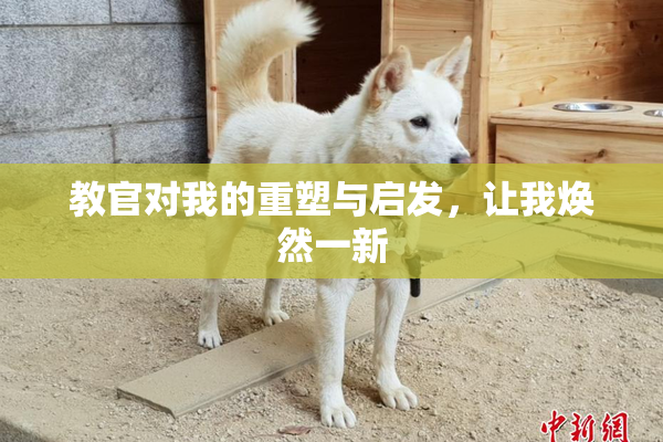 教官对我的重塑与启发，让我焕然一新