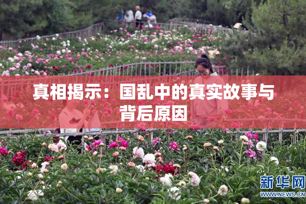 真相揭示：国乱中的真实故事与背后原因