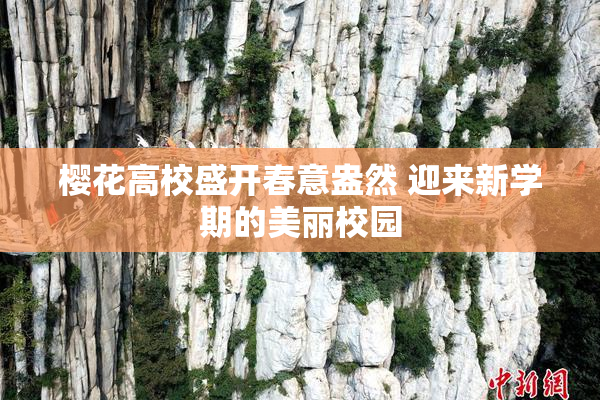 樱花高校盛开春意盎然 迎来新学期的美丽校园