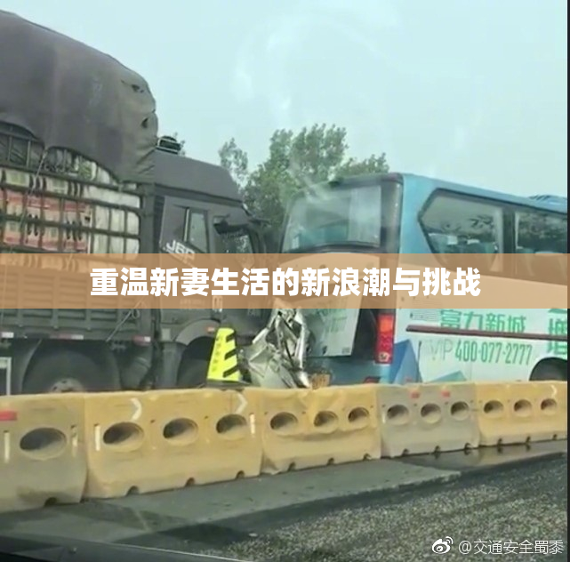 重温新妻生活的新浪潮与挑战