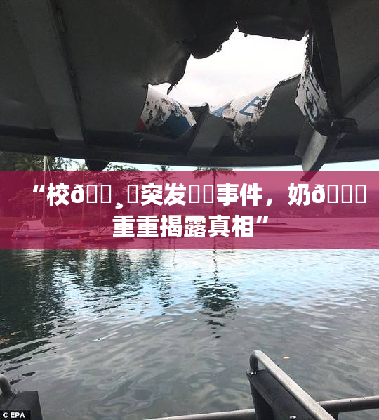 “校🌸‌突发❌‌事件，奶🔞重重揭露真相”