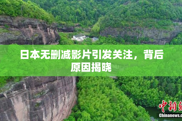 日本无删减影片引发关注，背后原因揭晓