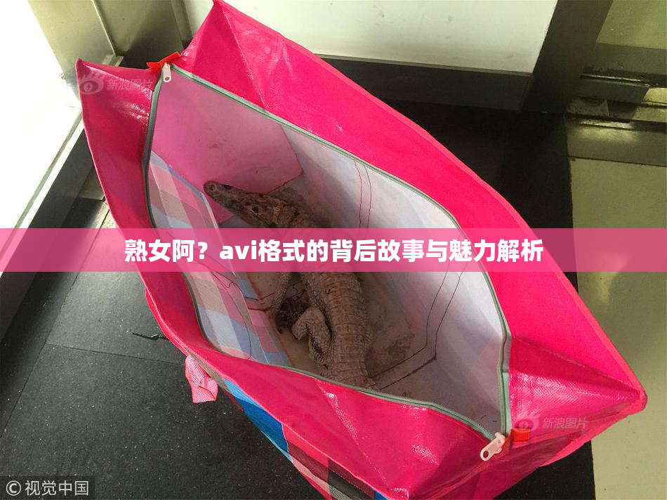 熟女阿？avi格式的背后故事与魅力解析