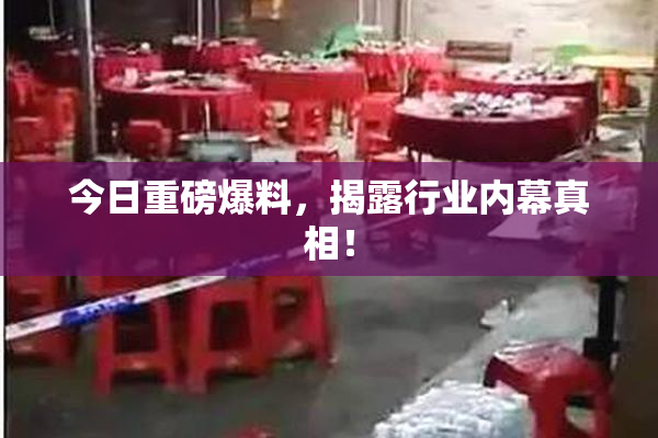 今日重磅爆料，揭露行业内幕真相！