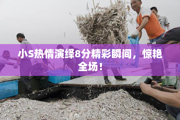 小S热情演绎8分精彩瞬间，惊艳全场！
