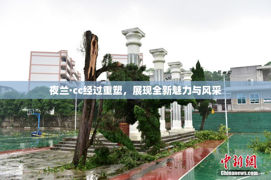 夜兰·cc经过重塑，展现全新魅力与风采