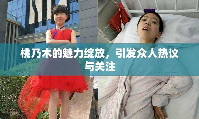 桃乃木的魅力绽放，引发众人热议与关注