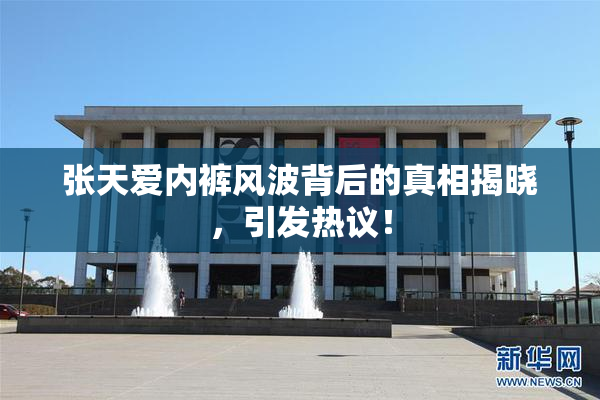 张天爱内裤风波背后的真相揭晓，引发热议！