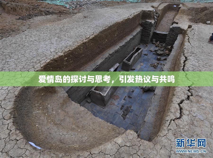 爱情岛的探讨与思考，引发热议与共鸣