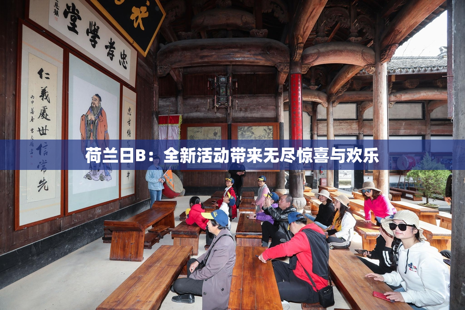 荷兰日B：全新活动带来无尽惊喜与欢乐