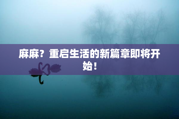麻麻？重启生活的新篇章即将开始！