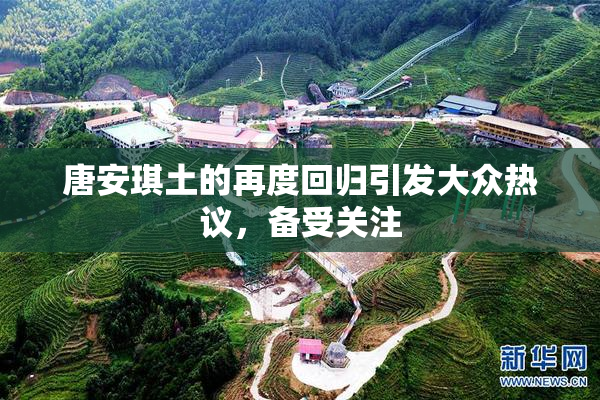 唐安琪土的再度回归引发大众热议，备受关注