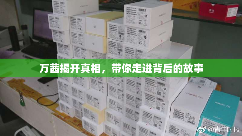 万茜揭开真相，带你走进背后的故事