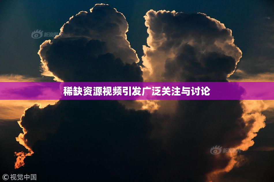 稀缺资源视频引发广泛关注与讨论