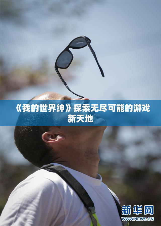 《我的世界绅》探索无尽可能的游戏新天地