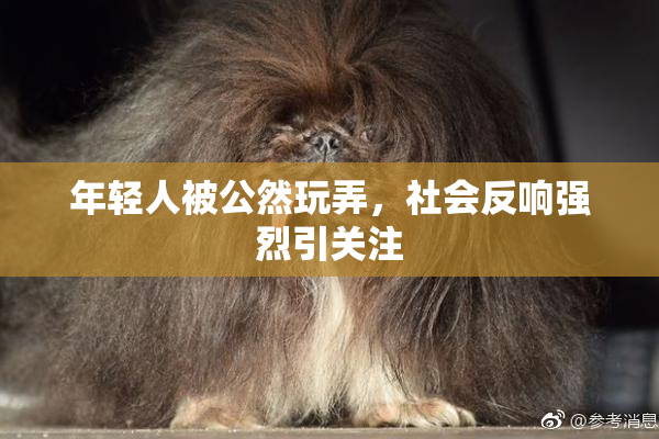 年轻人被公然玩弄，社会反响强烈引关注