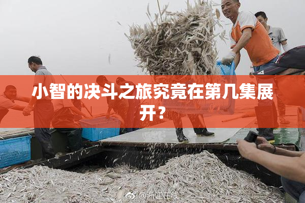 小智的决斗之旅究竟在第几集展开？