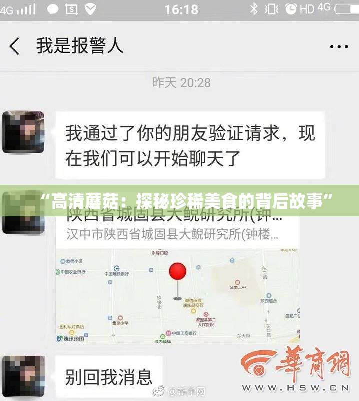 “高清蘑菇：探秘珍稀美食的背后故事”