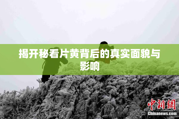 揭开秘看片黄背后的真实面貌与影响
