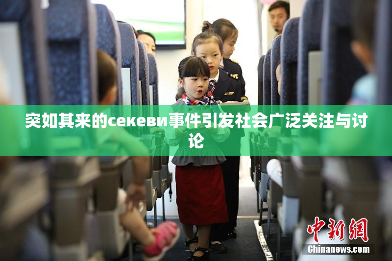 突如其来的ceкеви事件引发社会广泛关注与讨论