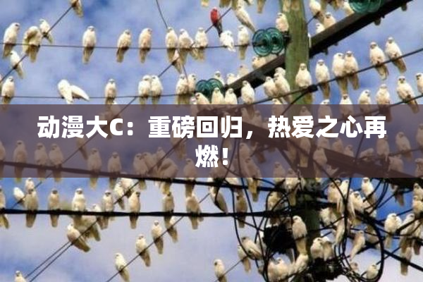 动漫大C：重磅回归，热爱之心再燃！