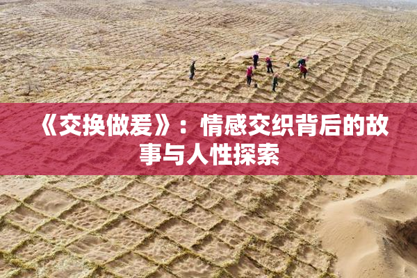《交换做爰》：情感交织背后的故事与人性探索