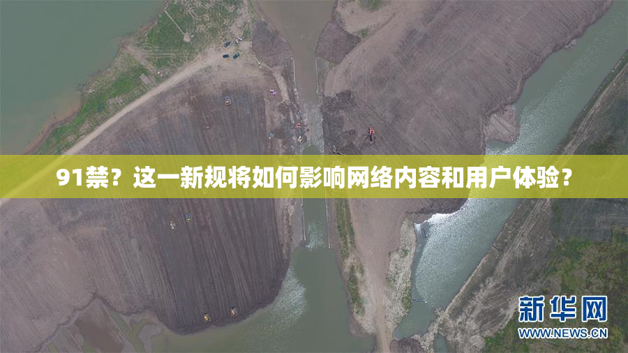91禁？这一新规将如何影响网络内容和用户体验？