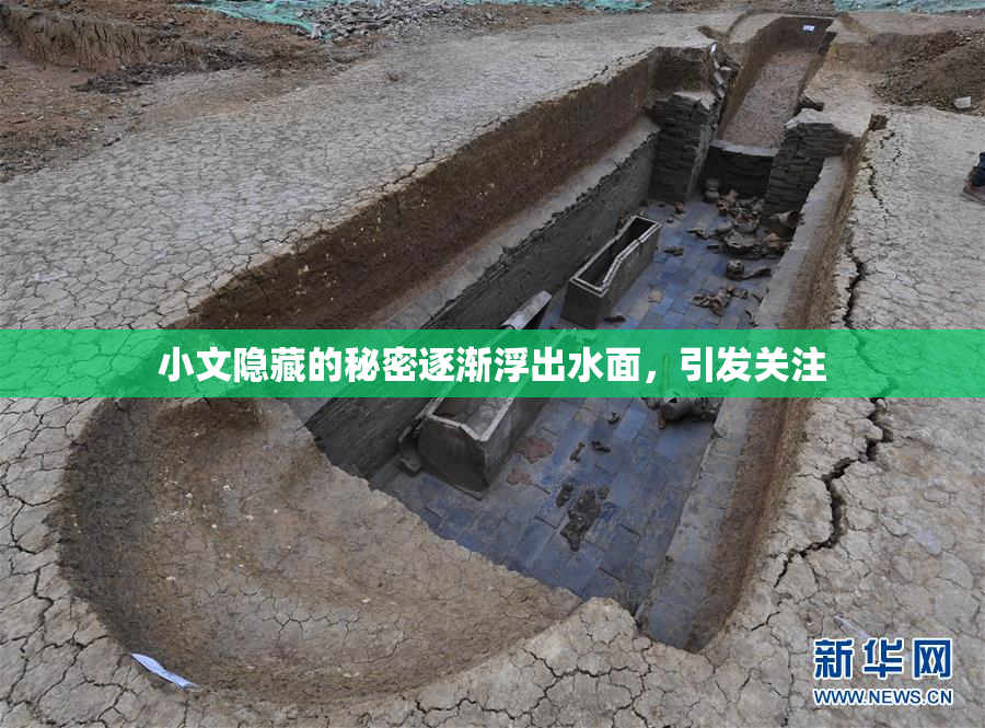 小文隐藏的秘密逐渐浮出水面，引发关注