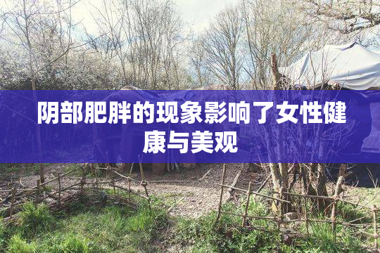 阴部肥胖的现象影响了女性健康与美观