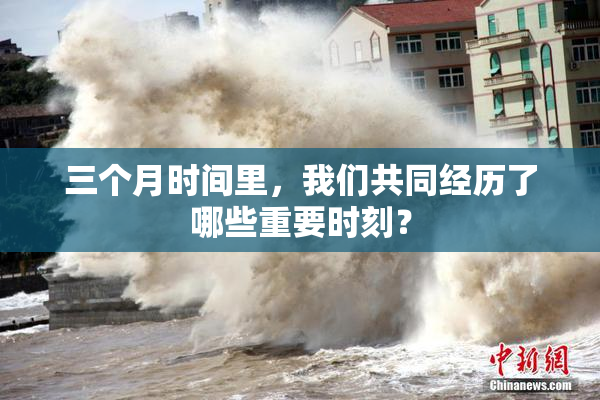 三个月时间里，我们共同经历了哪些重要时刻？