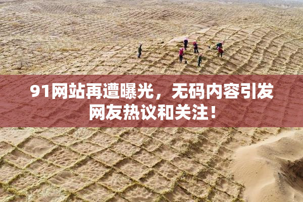91网站再遭曝光，无码内容引发网友热议和关注！