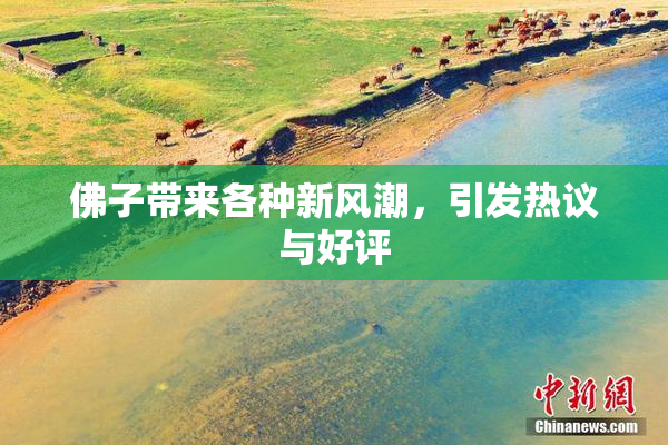 佛子带来各种新风潮，引发热议与好评