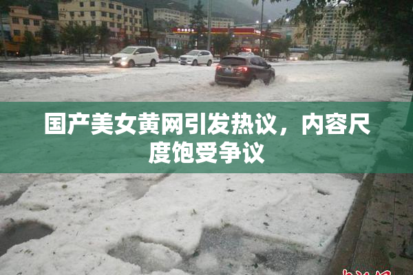 国产美女黄网引发热议，内容尺度饱受争议