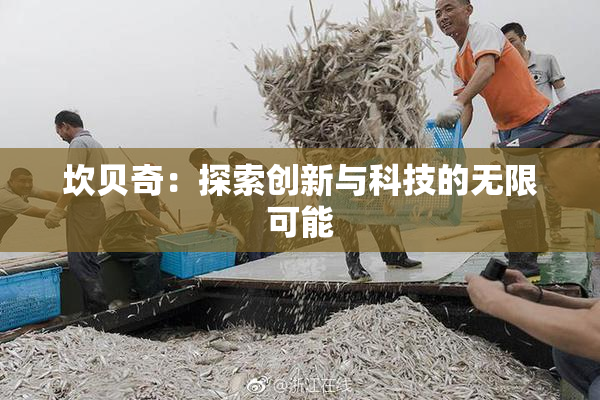 坎贝奇：探索创新与科技的无限可能