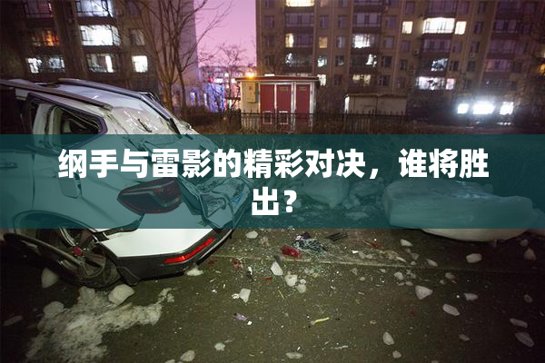 纲手与雷影的精彩对决，谁将胜出？