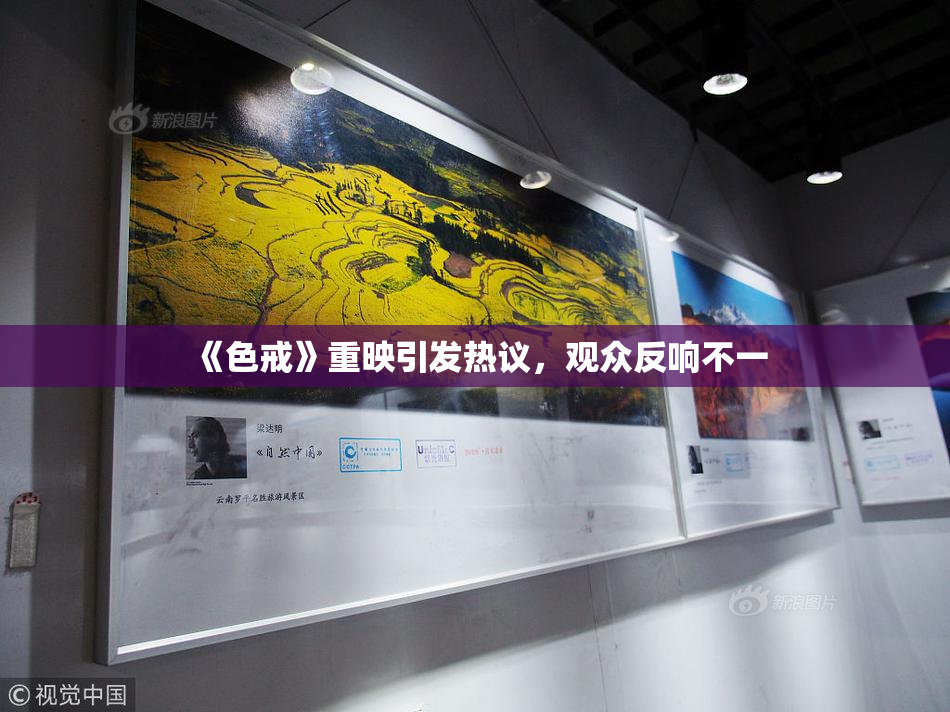 《色戒》重映引发热议，观众反响不一