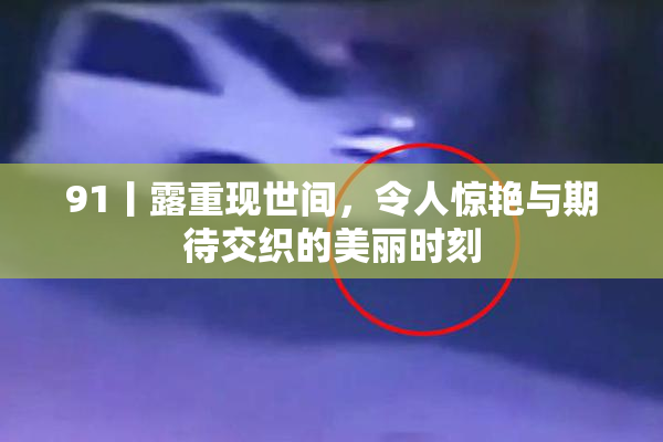 91丨露重现世间，令人惊艳与期待交织的美丽时刻