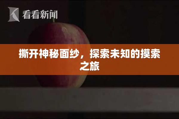 撕开神秘面纱，探索未知的摸索之旅