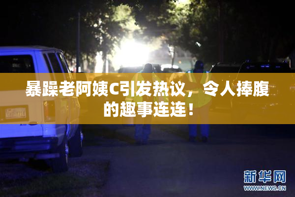 暴躁老阿姨C引发热议，令人捧腹的趣事连连！