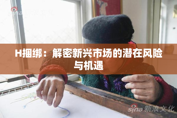 H捆绑：解密新兴市场的潜在风险与机遇
