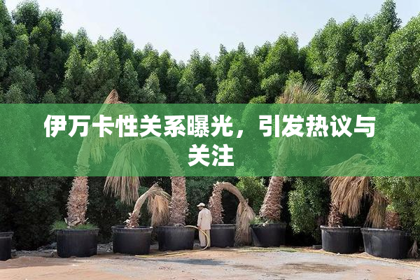 伊万卡性关系曝光，引发热议与关注
